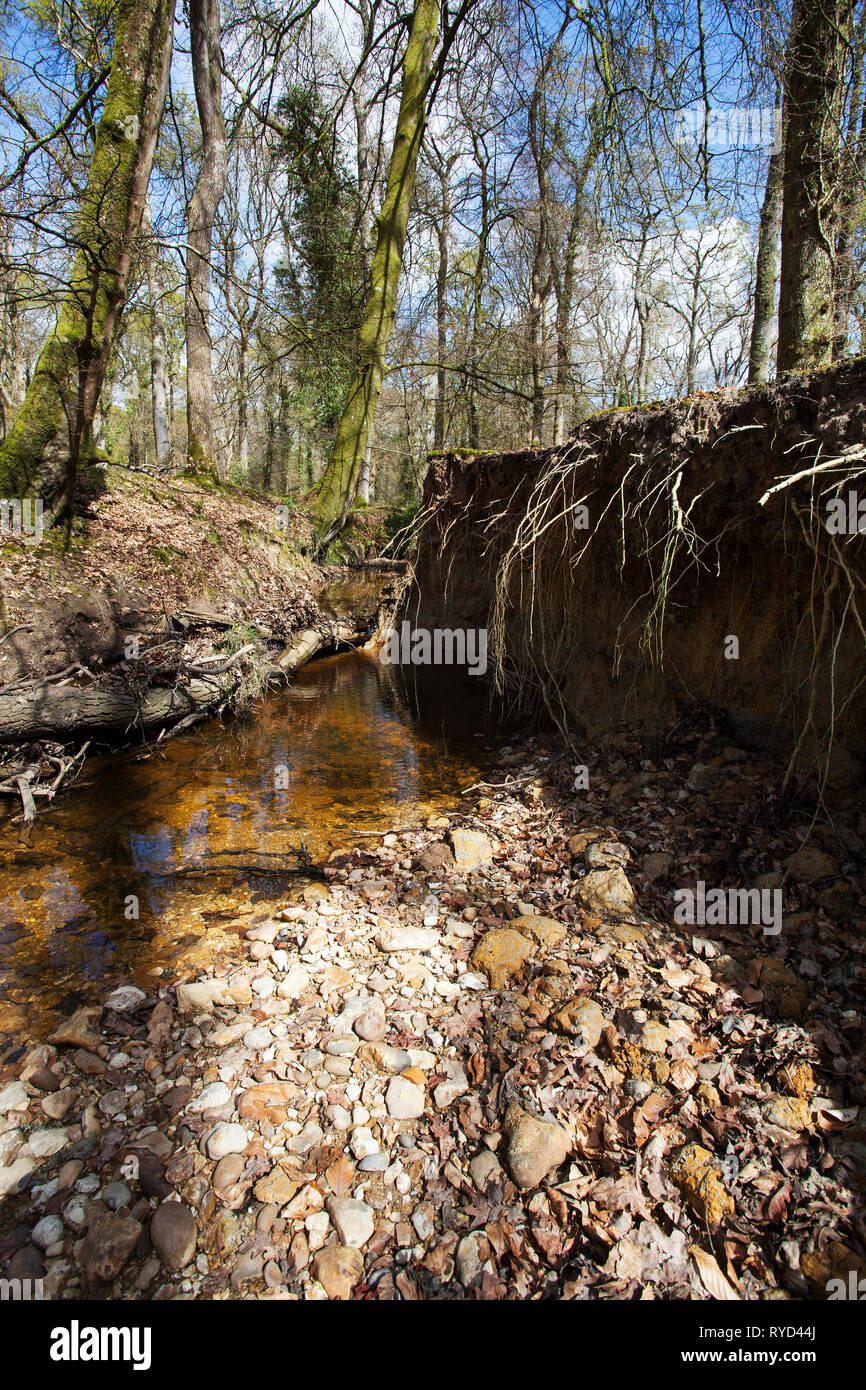 Erosion due to straightening of channel hires stock photography and