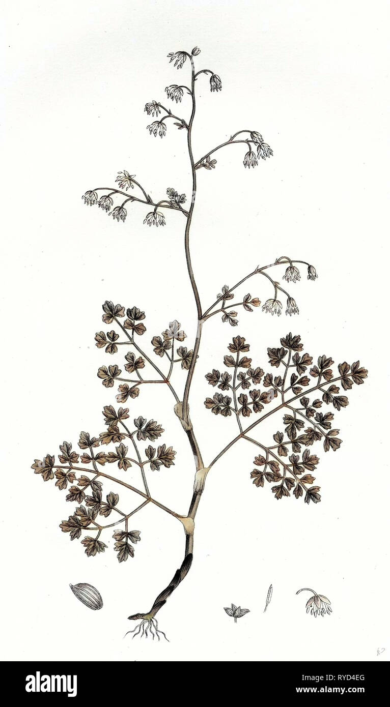 Print culture Cut Out Stock Images & Pictures Alamy