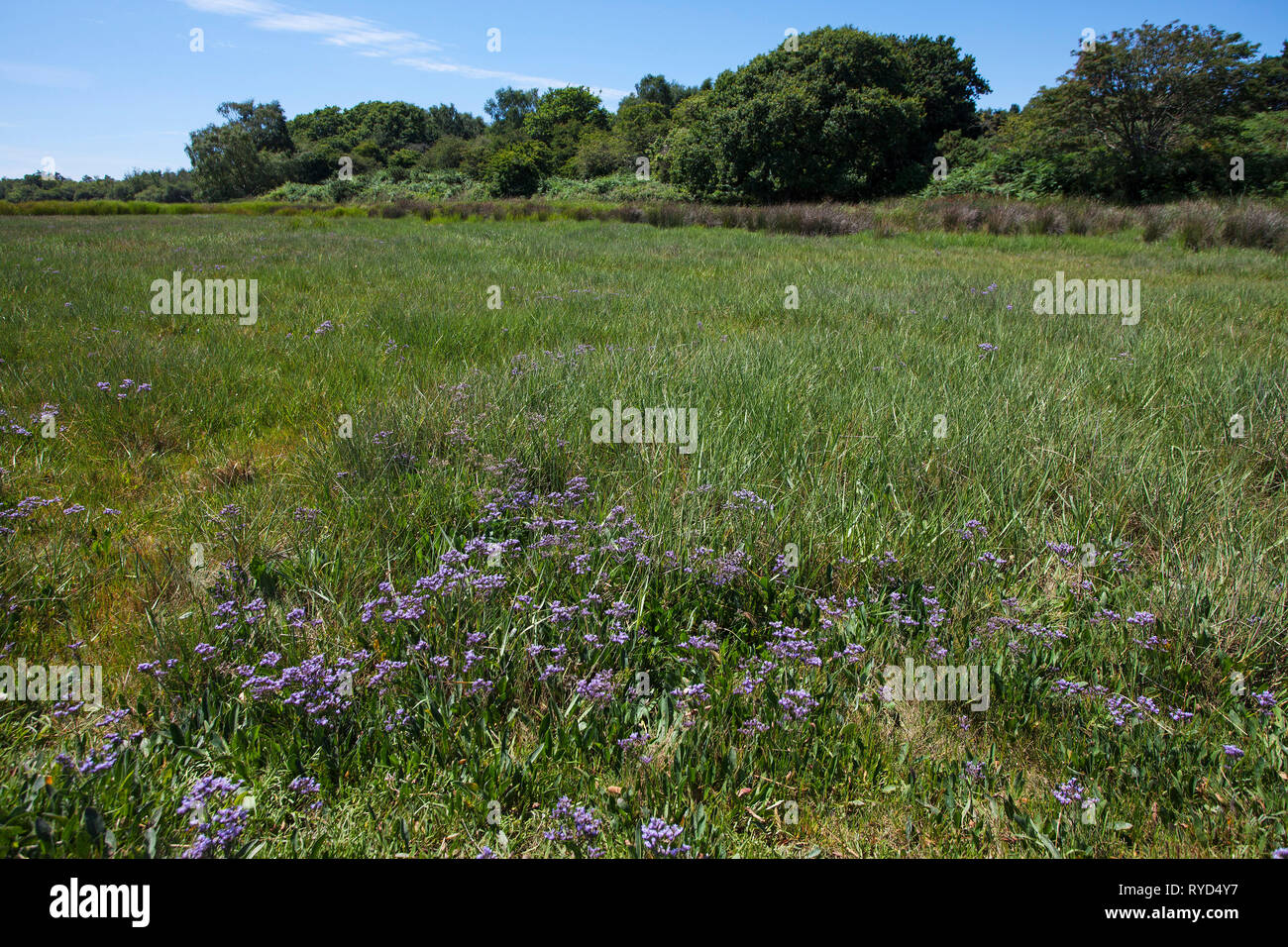 Shipstal point hi-res stock photography and images - Alamy