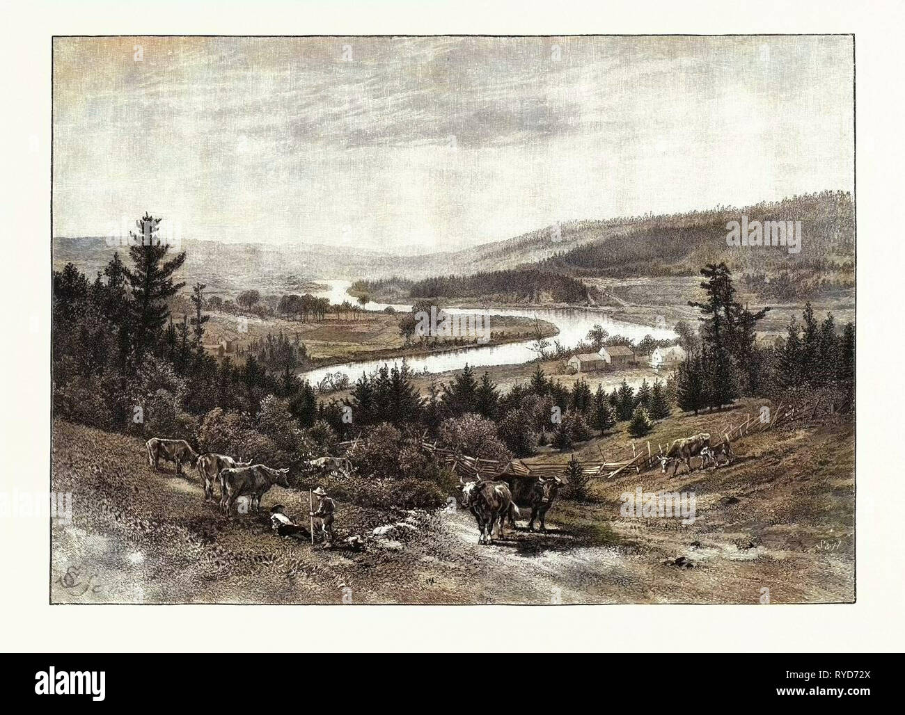 Junction of the Nashwaak and Tay, Canada, Nineteenth Century Engraving Stock Photo