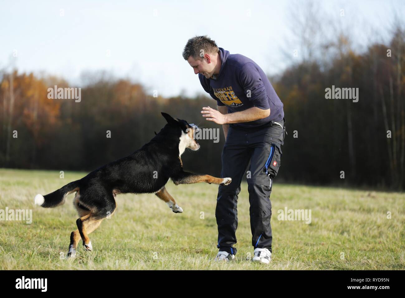 Young man plays pet dog hi res stock photography and images Alamy Young man plays pet dog hi res stock photography and images Alamy