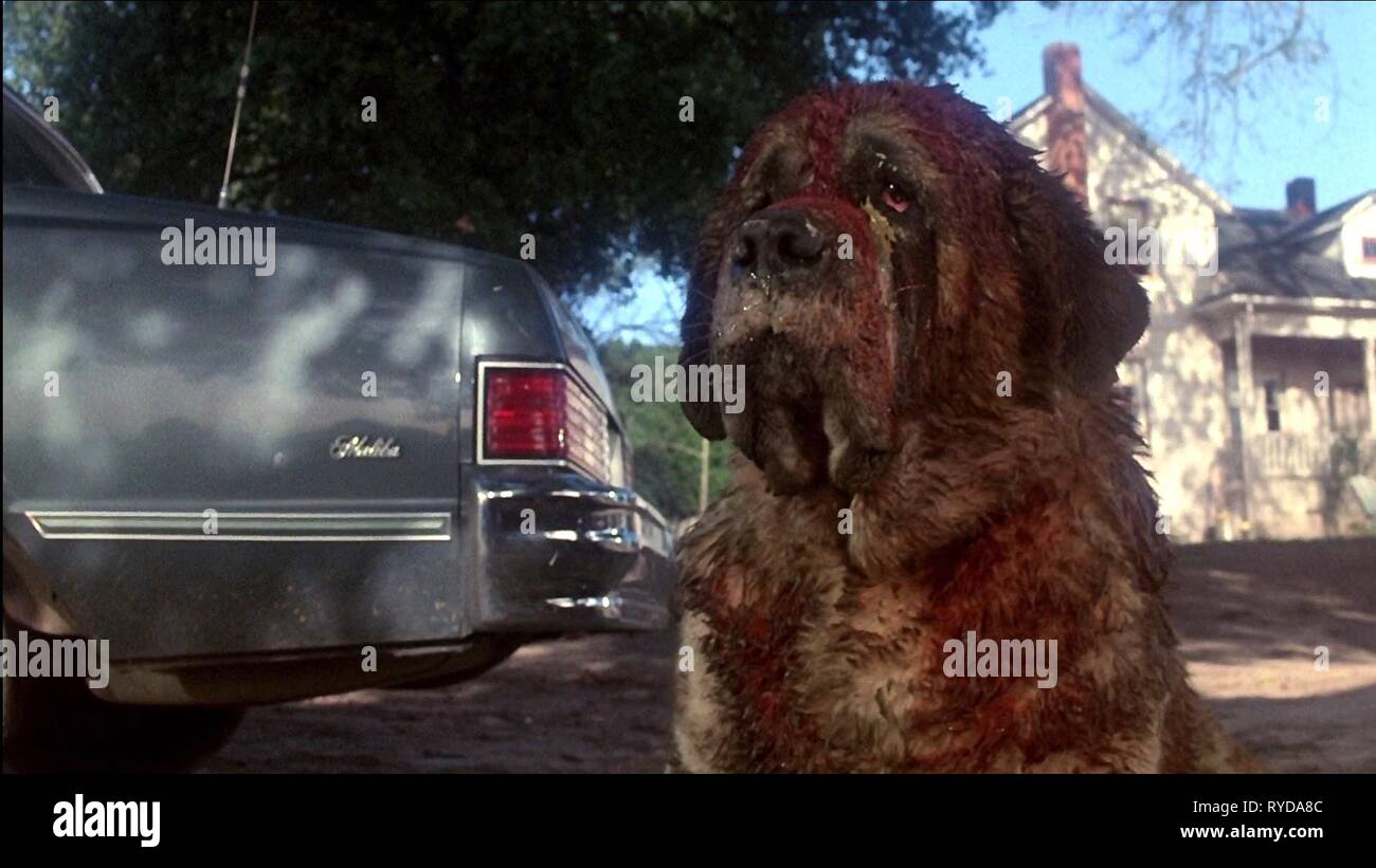 Cujo movie hi-res stock photography and images - Alamy