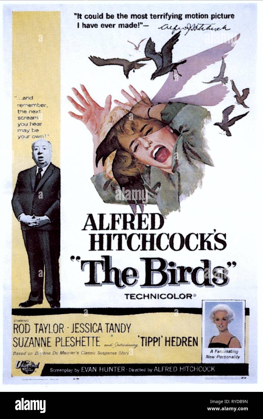 ALFRED HITCHCOCK, TIPPI HEDREN, THE BIRDS, 1963 Stock Photo