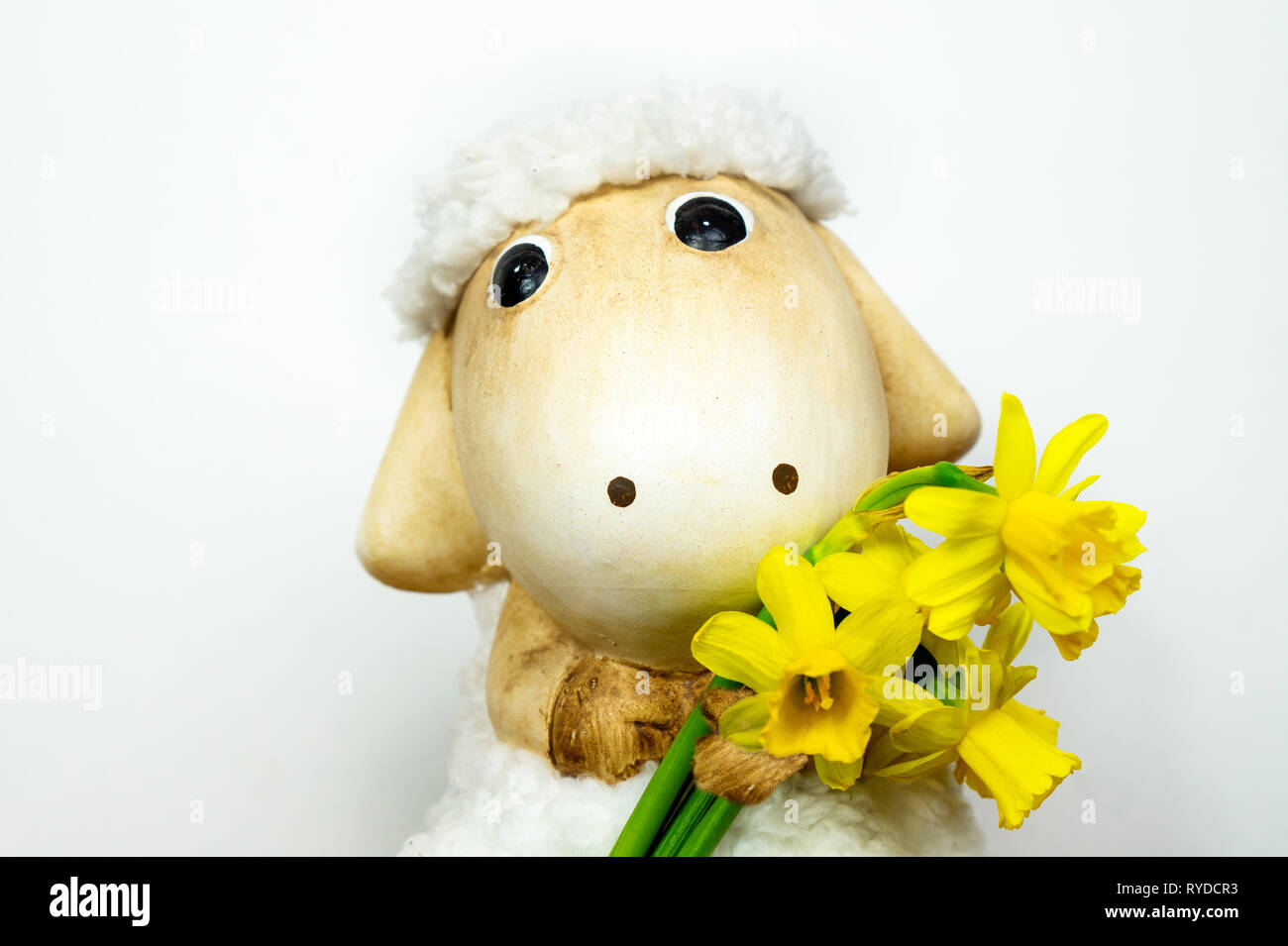 Greeting card with sheep hires stock photography and images Alamy