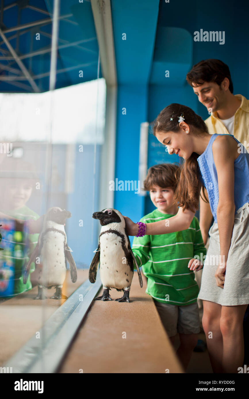 Family enjoying day at aquarium Stock Photo - Alamy