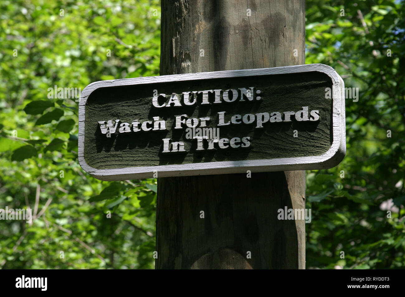 Caution: Watch For Leopards In Trees Sign Stock Photo - Alamy