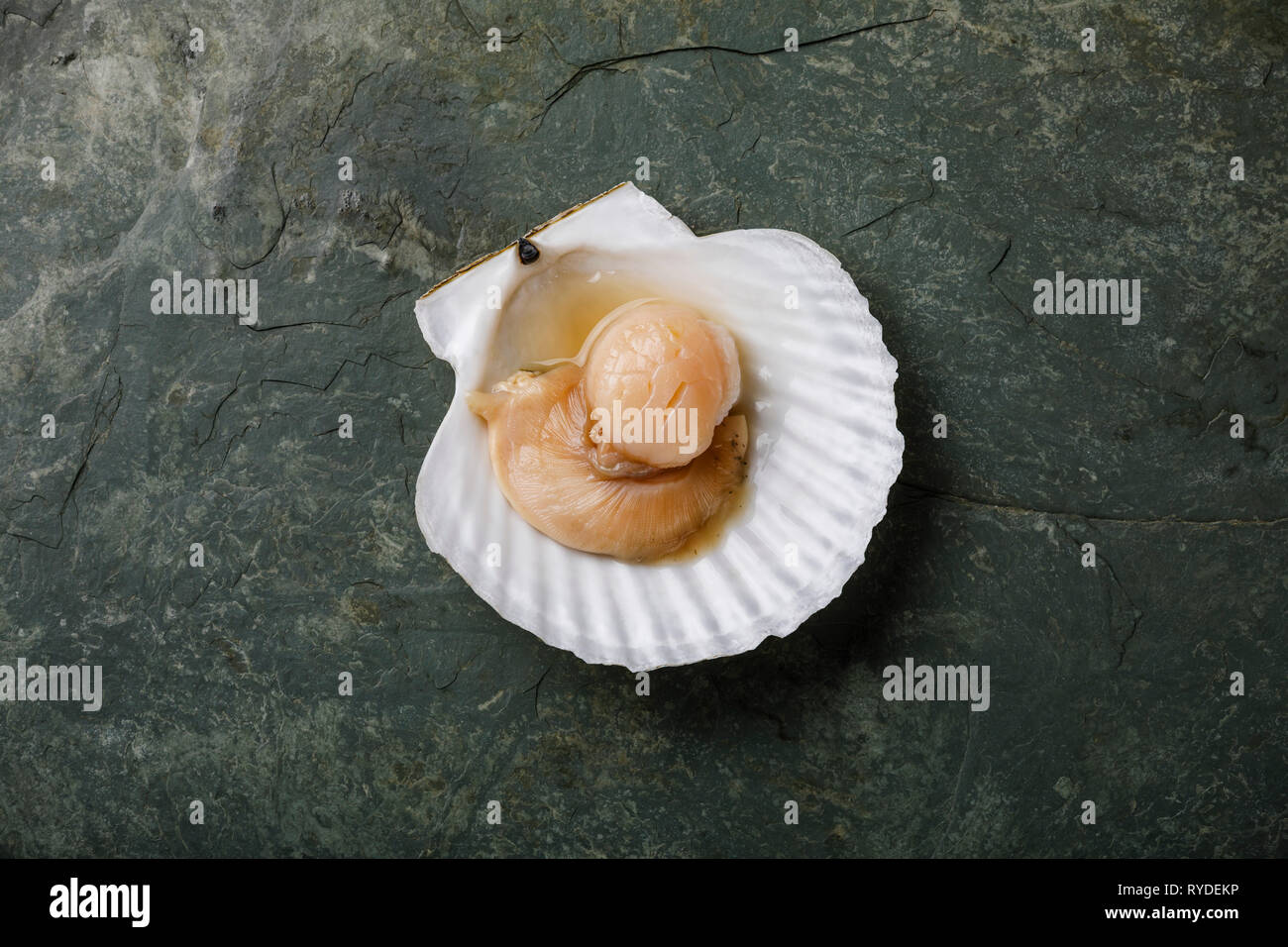 Uncooked scallop hires stock photography and images Alamy
