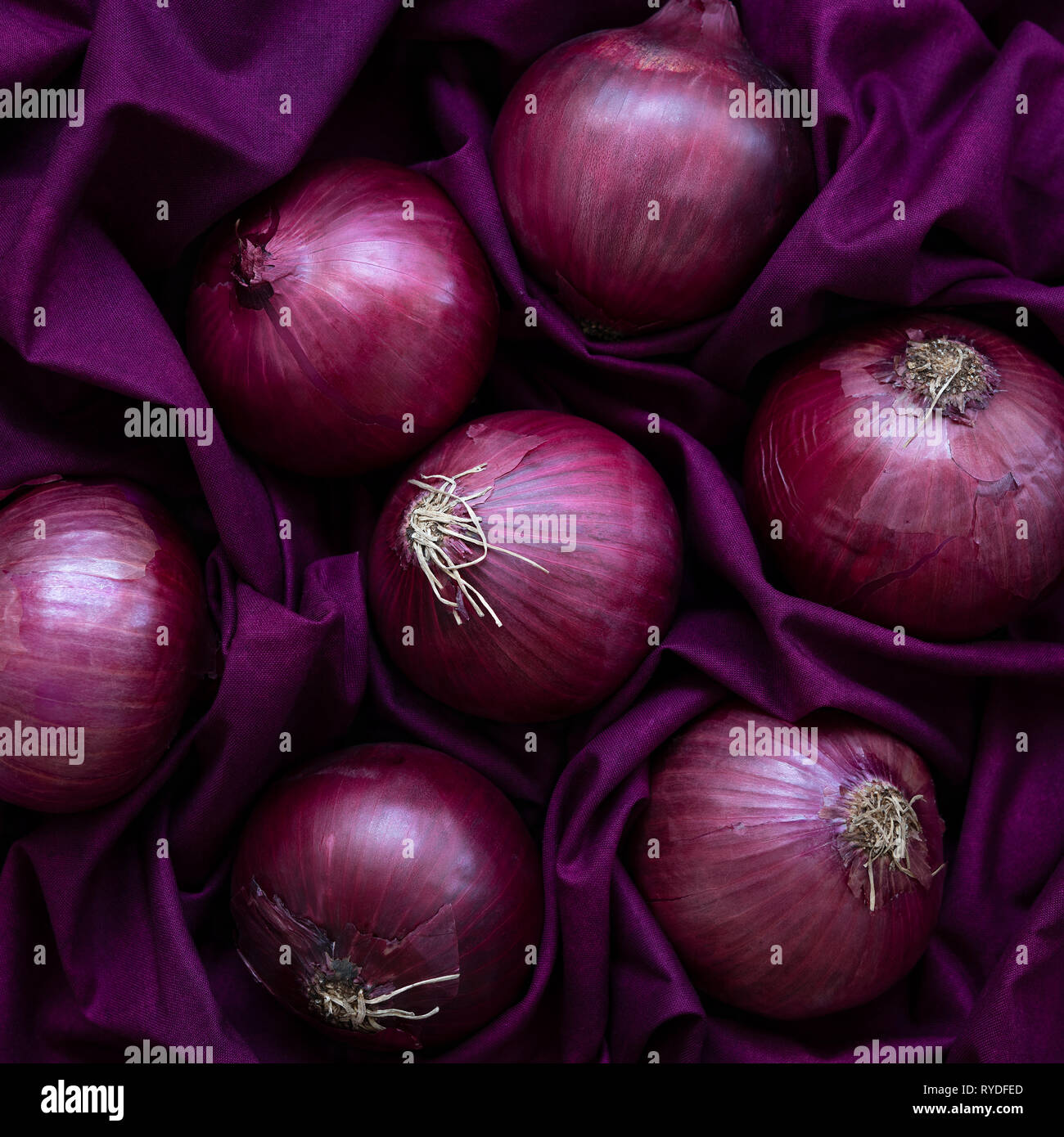 Fresh Red Onions on a purple background Stock Photo