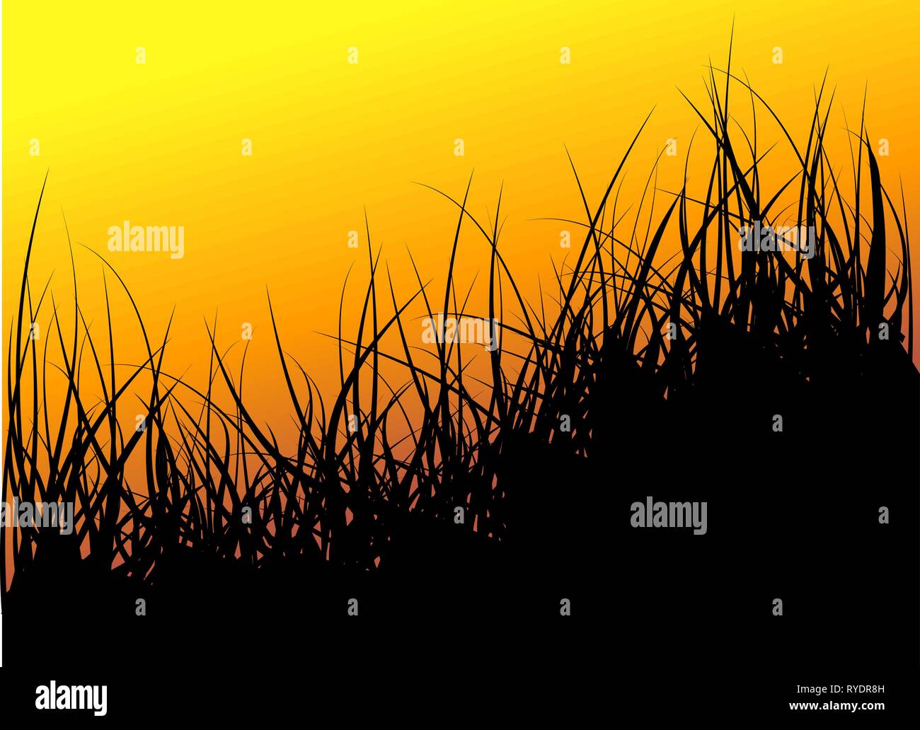 Green vector grass background - sunset Stock Vector Image & Art - Alamy