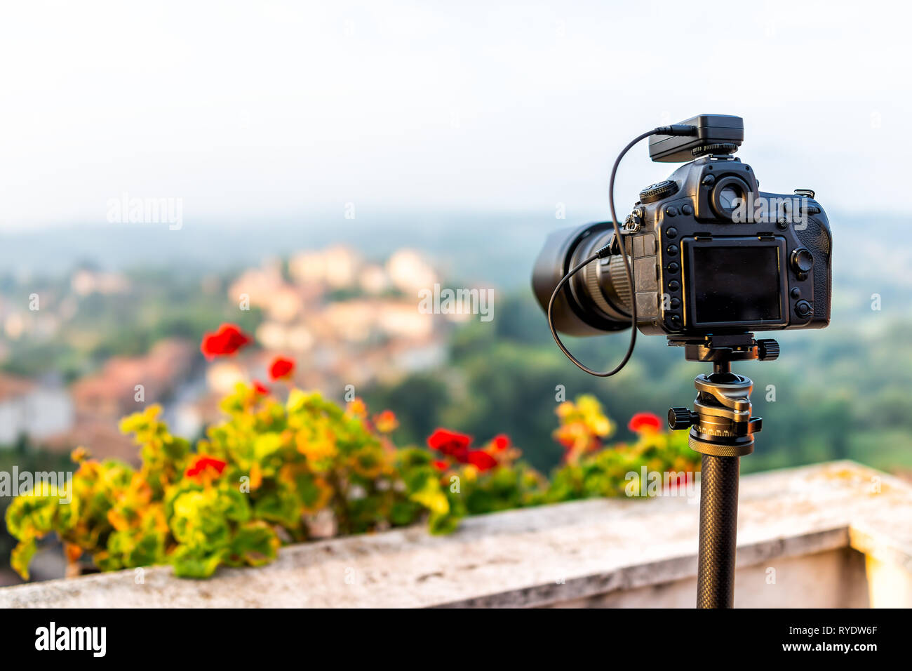 Dslr Camera Flowers Stock Photos Dslr Camera Flowers Stock