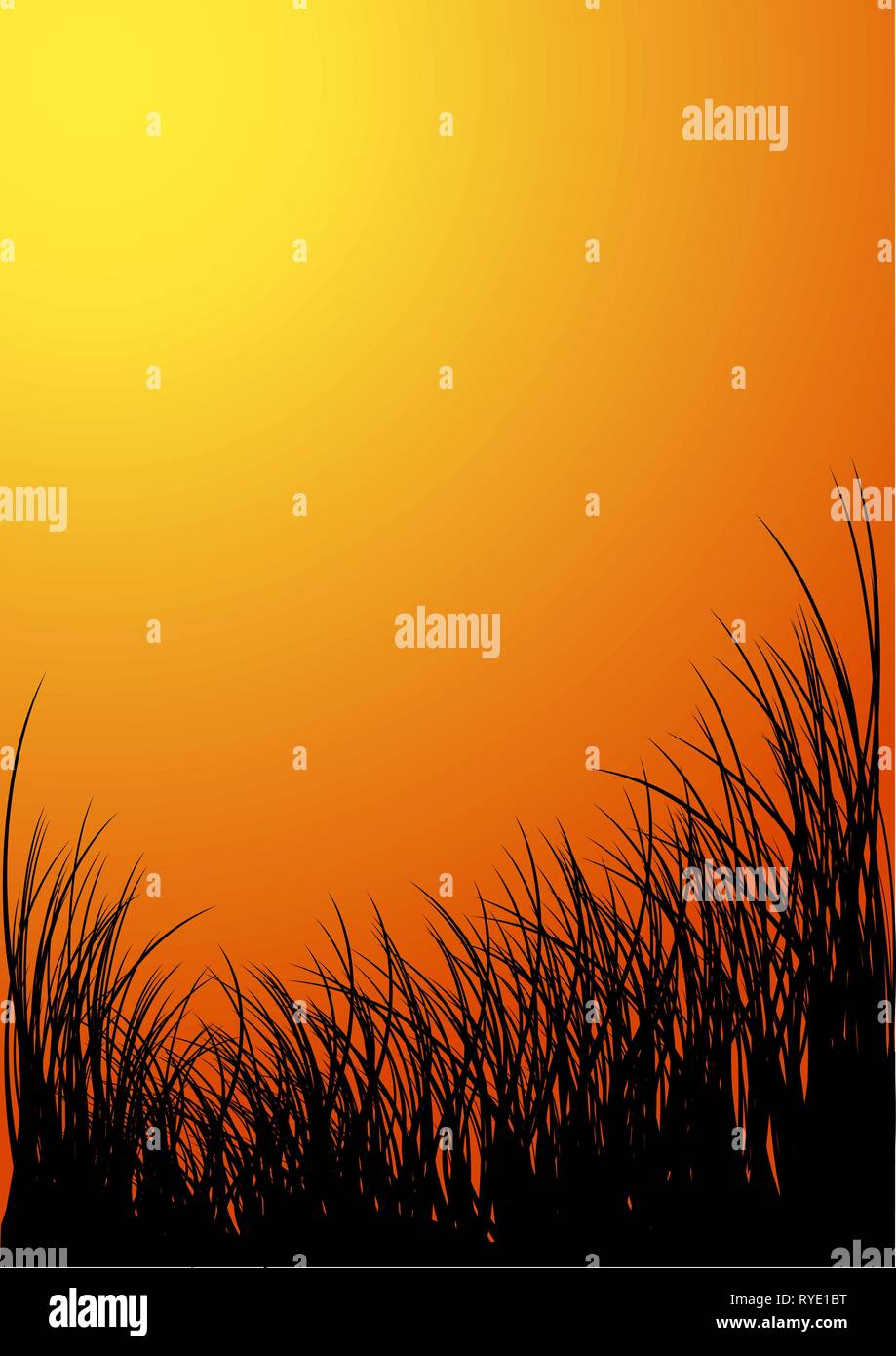 Vector grass silhouette background - sunset Stock Vector Image & Art ...