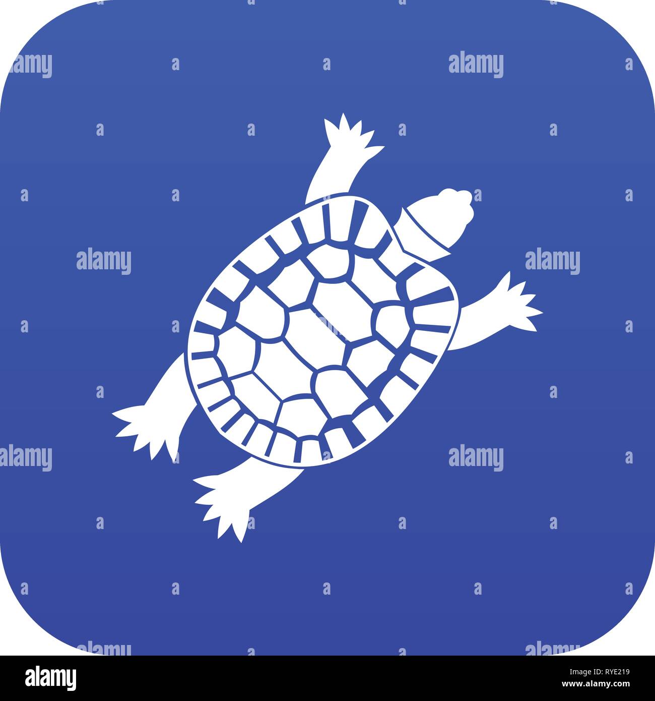 Turtle icon digital blue Stock Vector Image & Art - Alamy