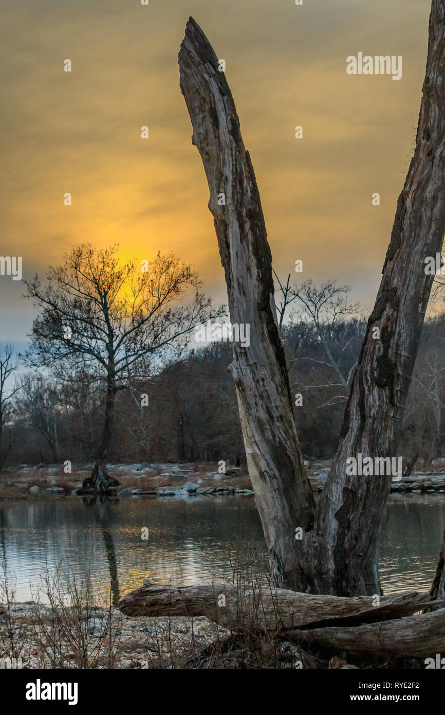 Neosho River and silhouetted trees at day's end. Northeastern Oklahoma