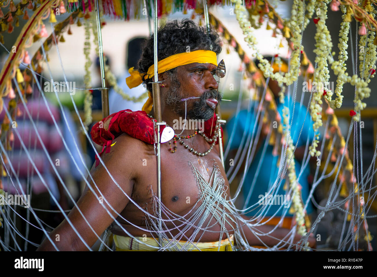 Devotee Man With "Kavadi" cage chains pierced into his skin Thaipusam