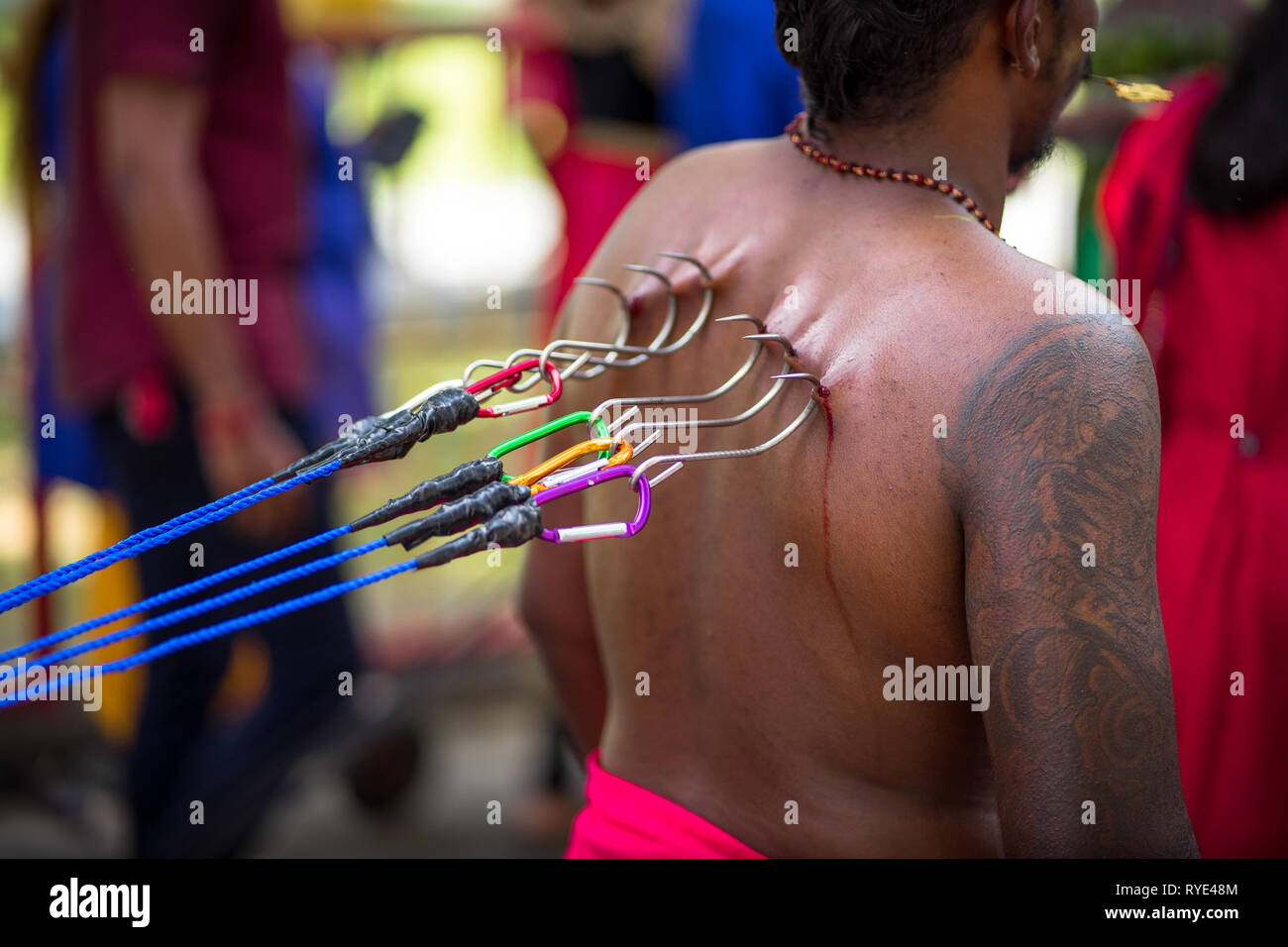 Ropes and large hooks pierced into devotee's back, closeup detail - Thaipusam festival - Singapore Stock Photo