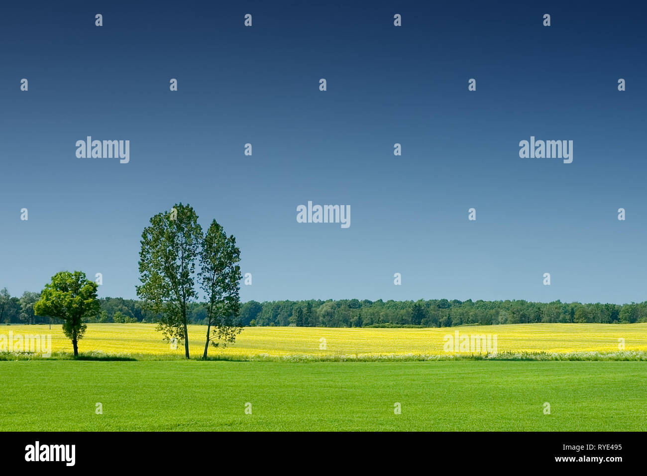 Lonely landscape hi-res stock photography and images - Alamy