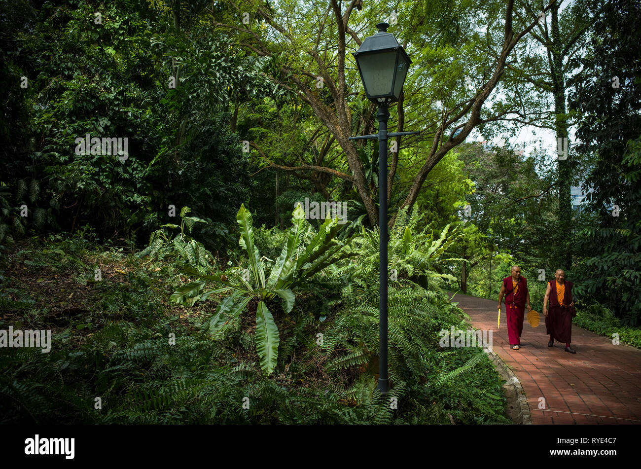 Buddhists Monks walking together on green forest path - Fort Canning Park - Singapore Stock Photo