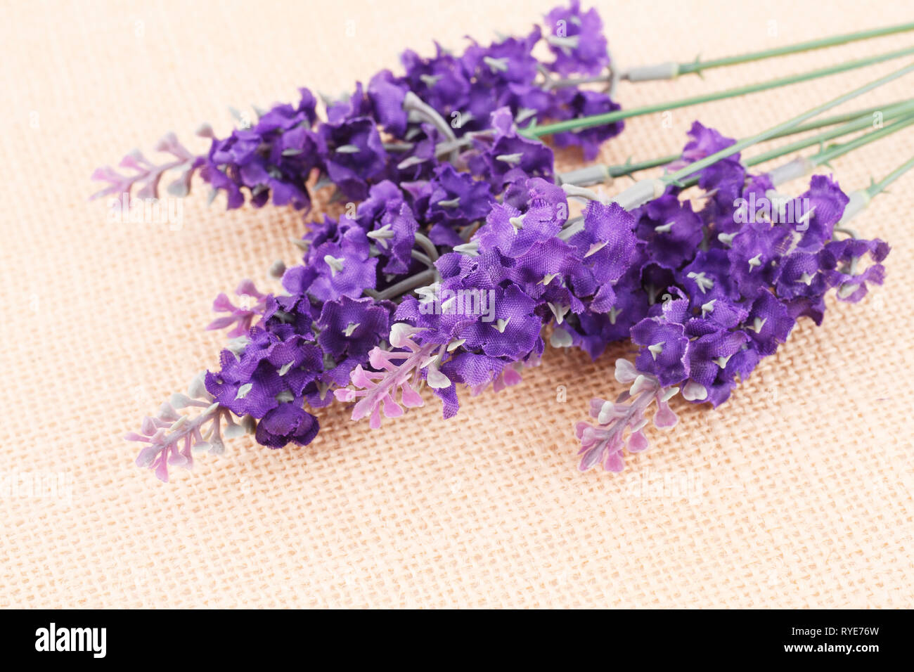 Violet fabric flowers on canvas background, closeup picture Stock Photo