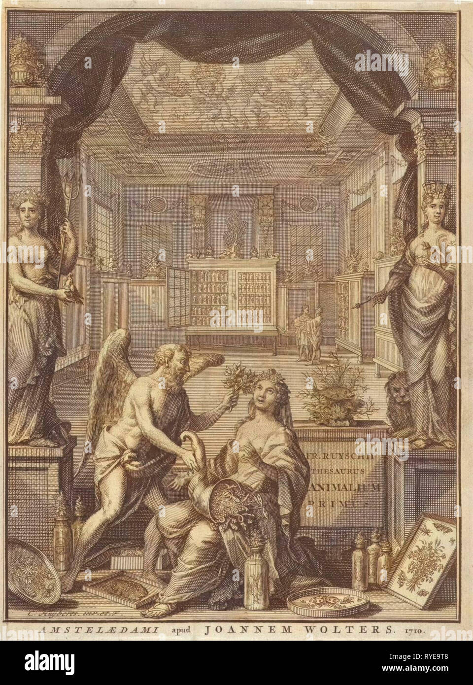 Allegory of nature, Cornelis Huyberts, Frederick Ruysch, Janssonius van Waesberge, 1710 Stock Photo