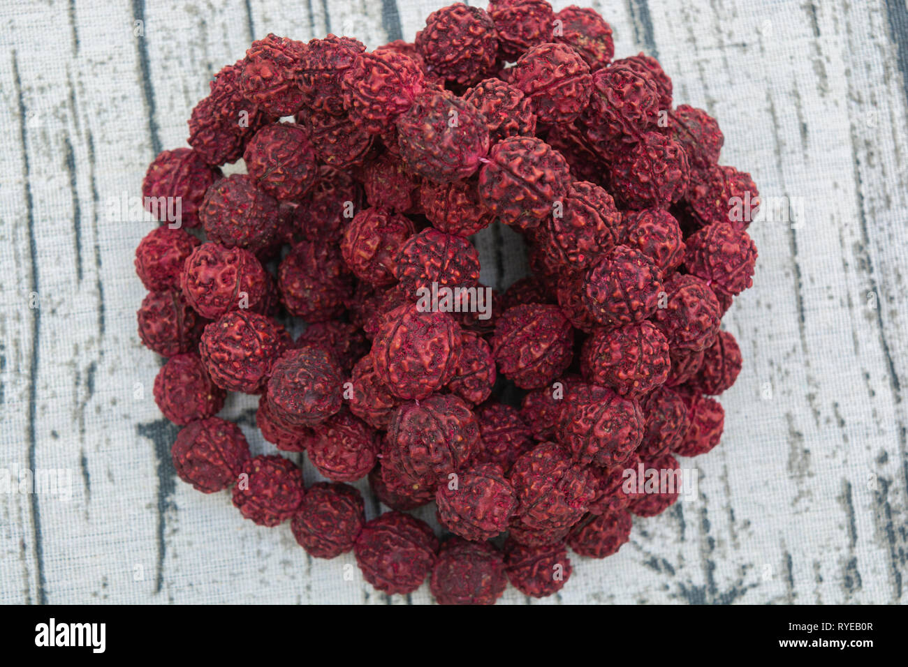 A rudraksha mala is the seed of the Eliocarpus ganitrus tree used as prayer beads in Hinduism especially Shaivism . Stock Photo