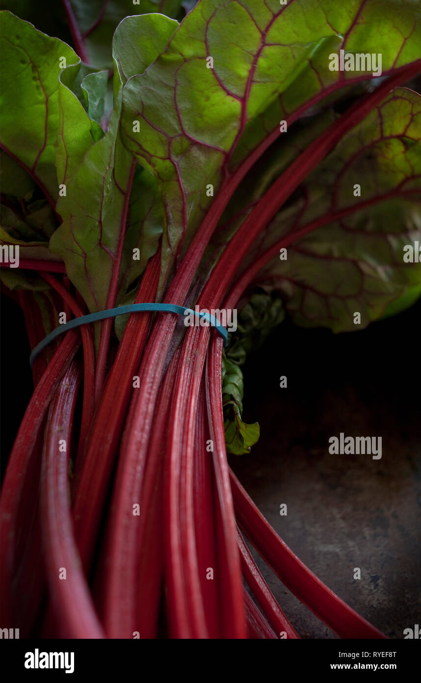 A Bunch Of Red Stemmed Swiss Chard Held Together With A Blue Rubber Band Stock Photo