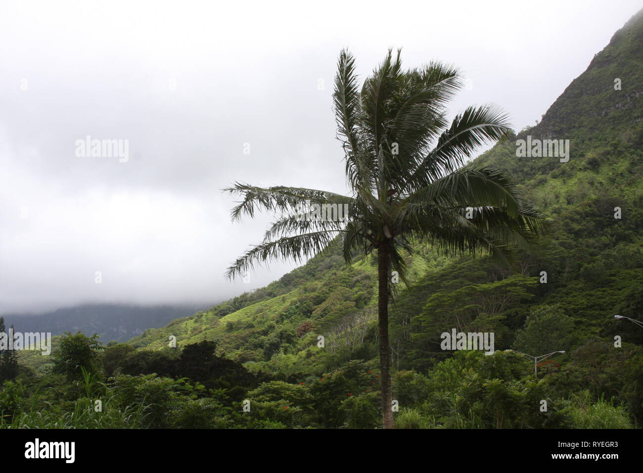 Honolulu hawaiian islands hawaii hi-res stock photography and images ...