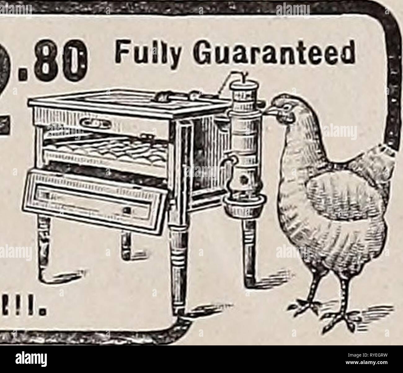 The Eastern poultryman  easternpoultryma46unse Year: 1903  The wonderful simplicity of the Wooden ITeu and the greatly increased production forced by i:s immense sales, makes it possible to off>r this per- fect hatcher for § I *2.80. Self regulating and guaranteed to hatch as large a percentage of e^g3 as any other hatcher at any price. Send for the free illustrated catalogue with 14 colored views. CZQ. H. STAHL, Qu!ncy» Stock Photo