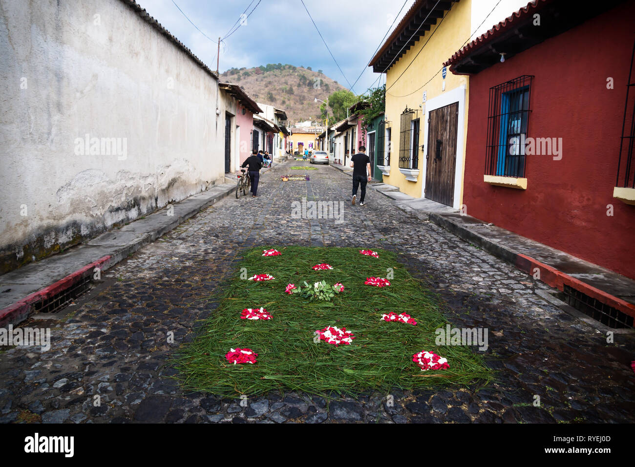 Antigua, Guatamala - 23 March 2018: Grass Alfombre colourful flower carpets on the cobbled streets Stock Photo