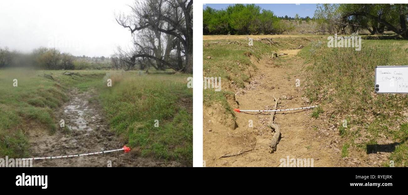 2012 survey assessments and analysis of fish, macroinvertebrates and herpetofauna in the Otter Creek coal tracts area of Powder River County  Eb339133-a249-4662-ac73-98bf02e1e686 Year: 2013  Great Plains Intermittent Fishless Prairie Stream (AES code E005)-l) Threemile Creek Site Photos: Threemile Creek (Otter 3m) during the spring 2011 (left) and 2012 (right) visits    Literature Cited Allan, J. D., D. L. Ehckson and J. Fay. 1997. The Influence of Catchment Land Use on Stream Integrity Across Multiple Spatial Scales. Freshwater Biology 37:149-162. Barbour, M., J. Gerritsen, B.D. Snyder, and J Stock Photo