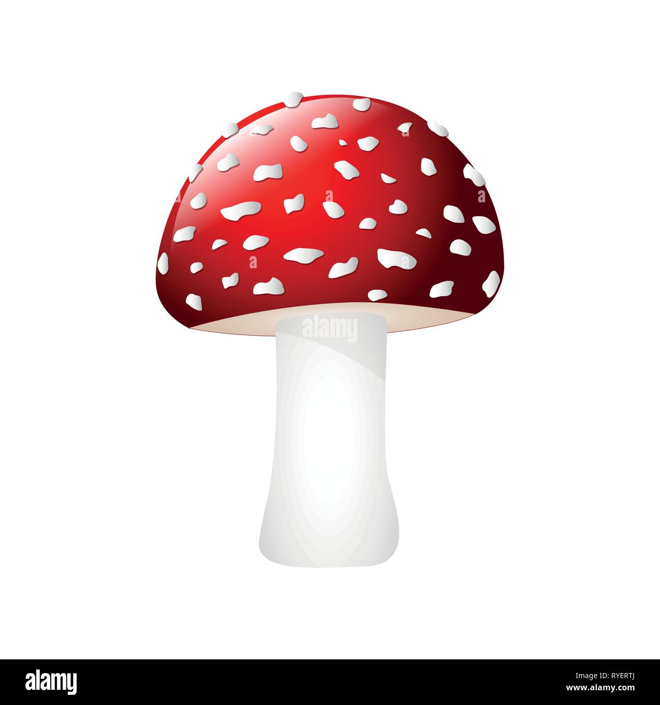 poisonous red fly agaric isolated on white background vector illustration EPS10 Stock Vector