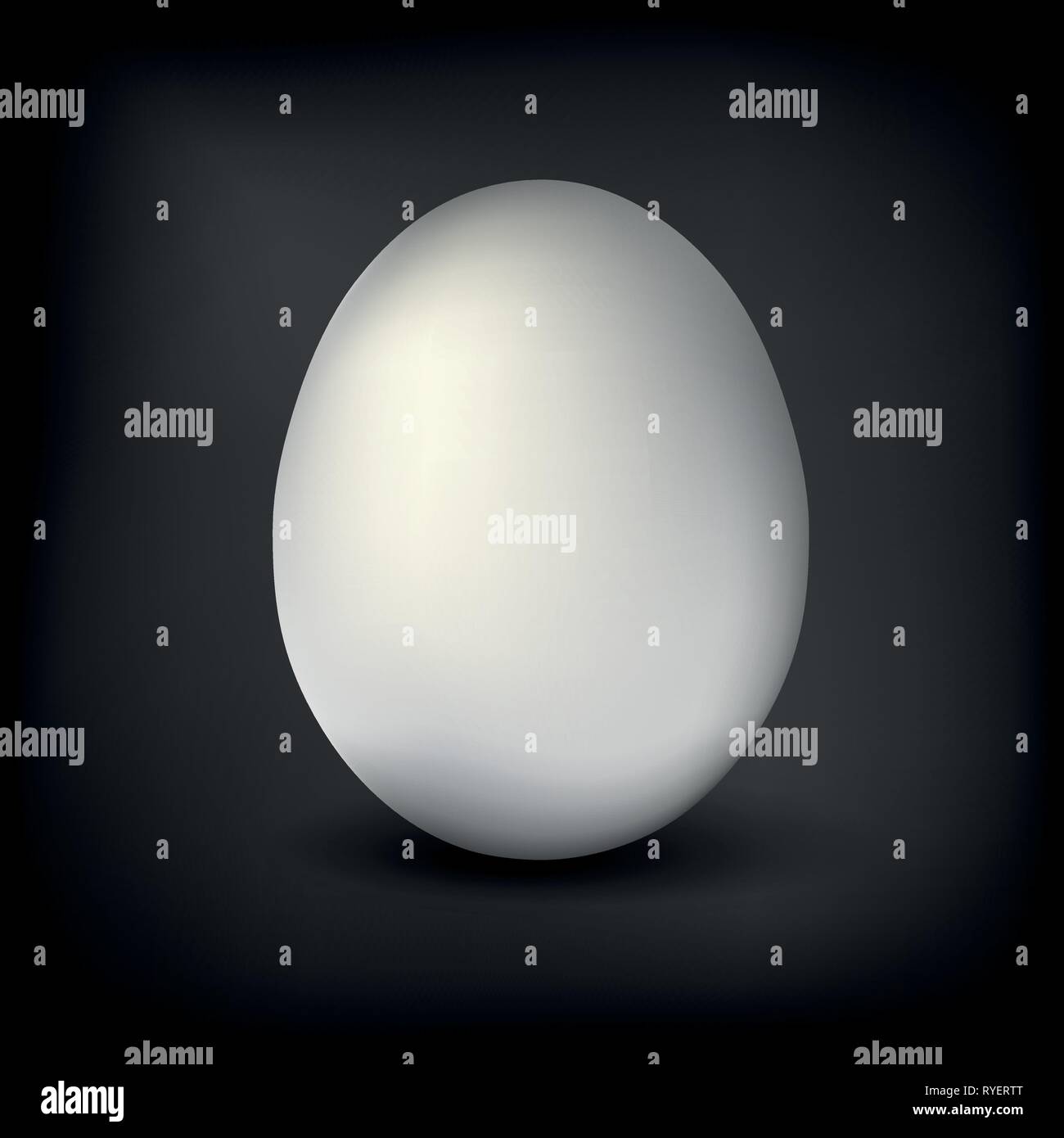 white single realistic animal egg isolated with soft shadow on black background vector illustration EPS10 Stock Vector