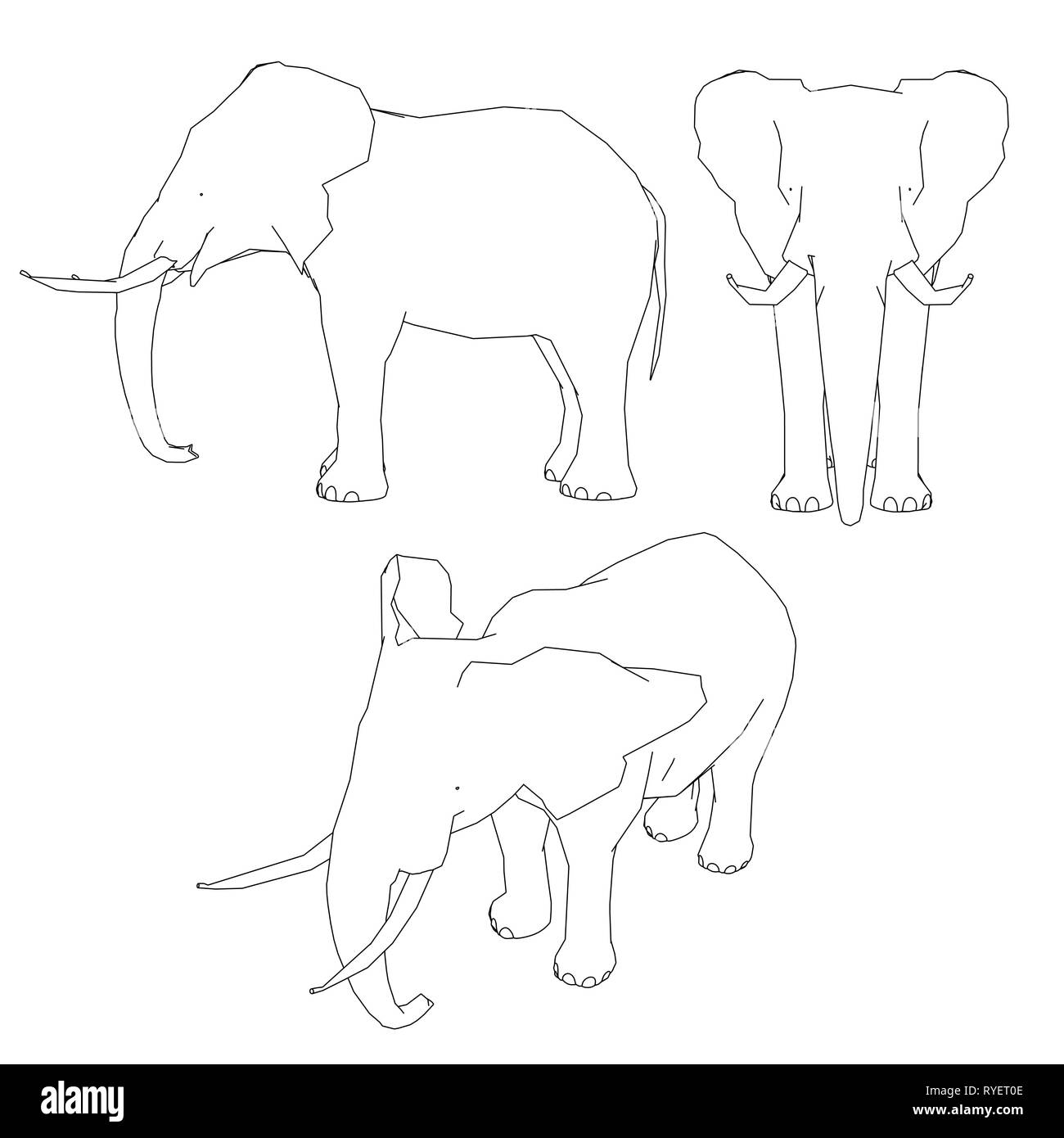 420 Elephant Front View Illustrations RoyaltyFree Vector Graphics  Clip  Art  iStock  Lion front view Animal front view