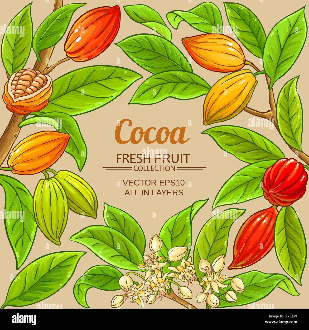cocoa vector frame on color background Stock Vector