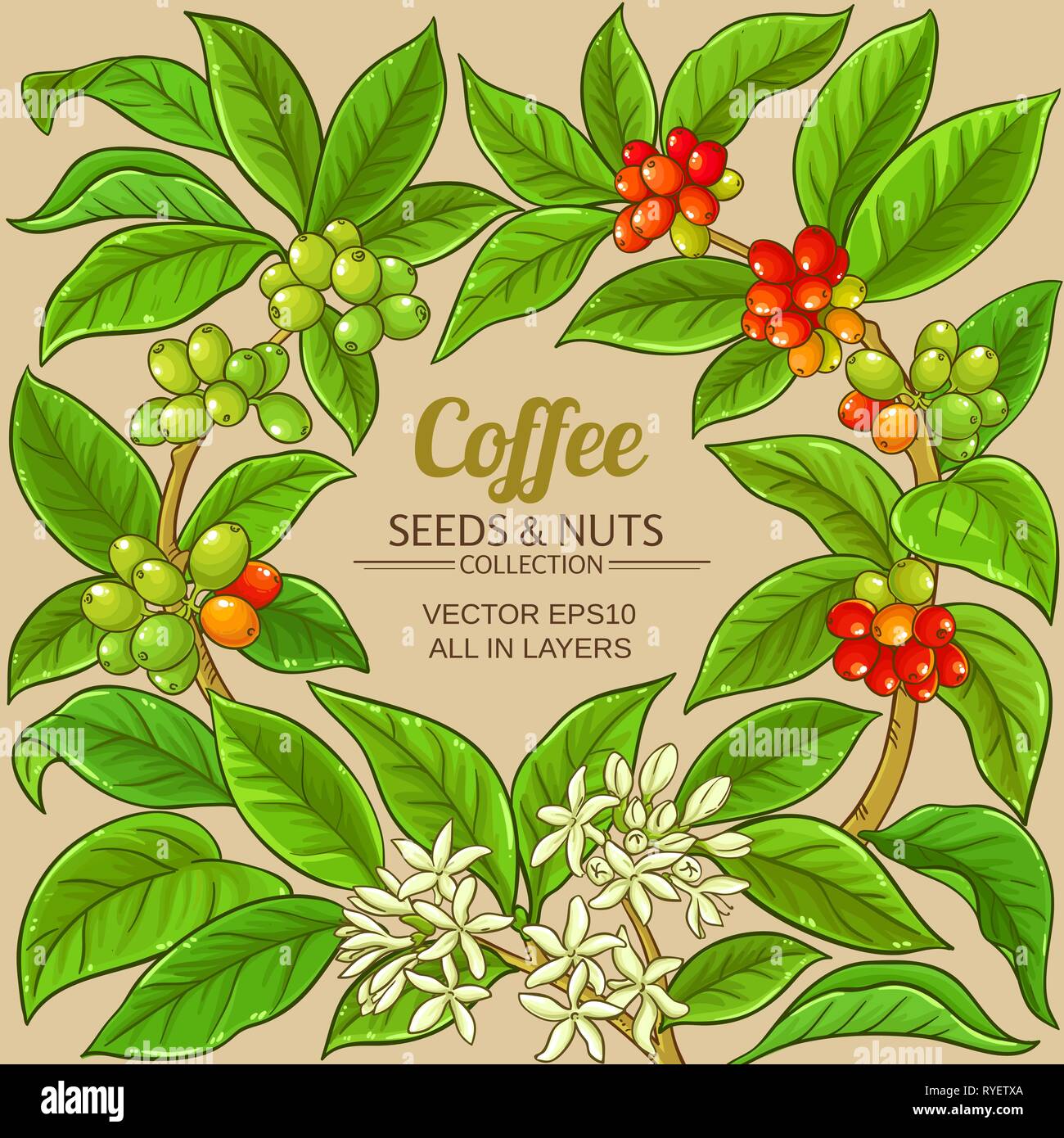 coffee vector frame on color background Stock Vector