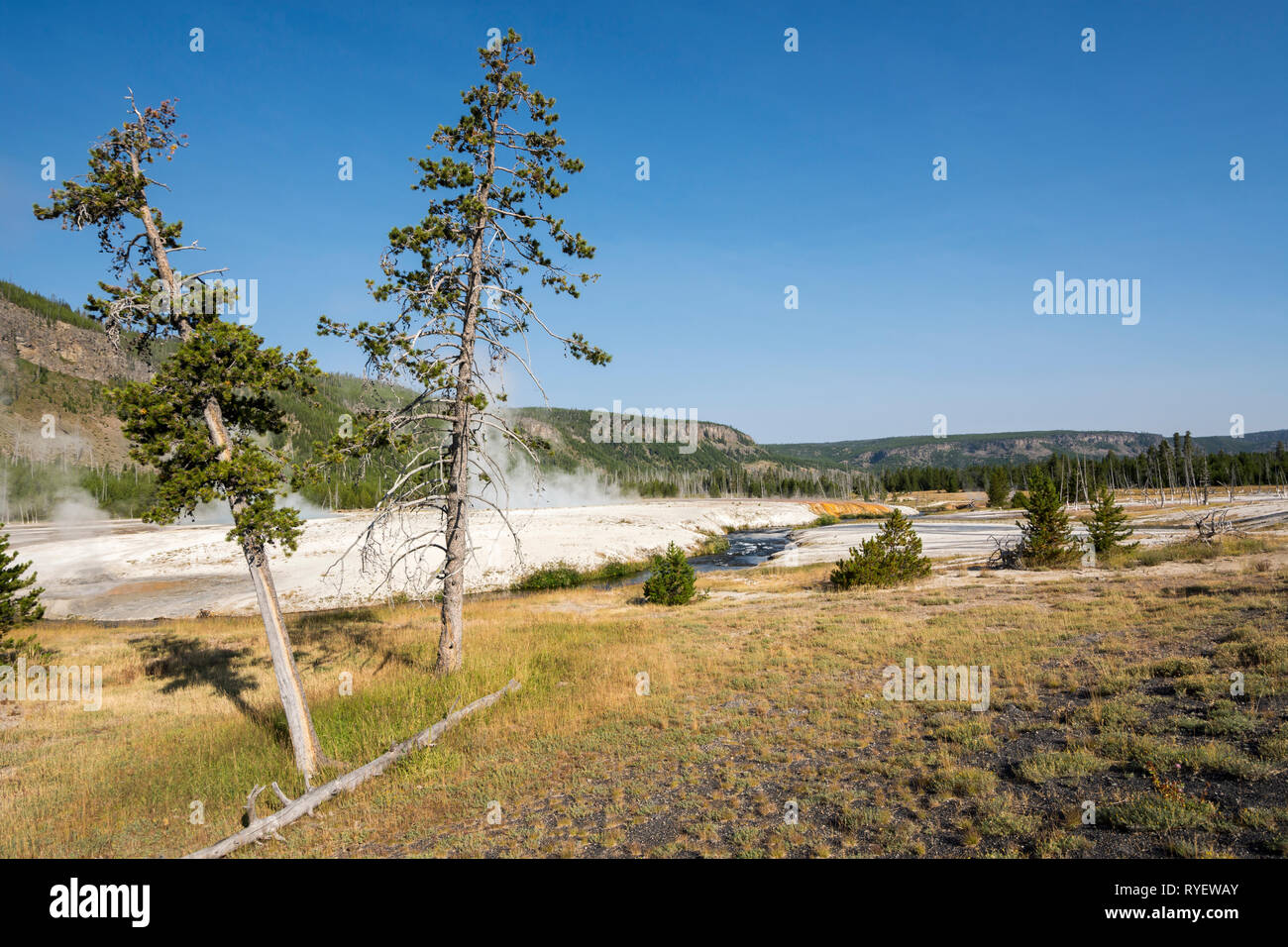 Geyser in Black Sand Basin in Yellowstone National Park in Wyoming ...