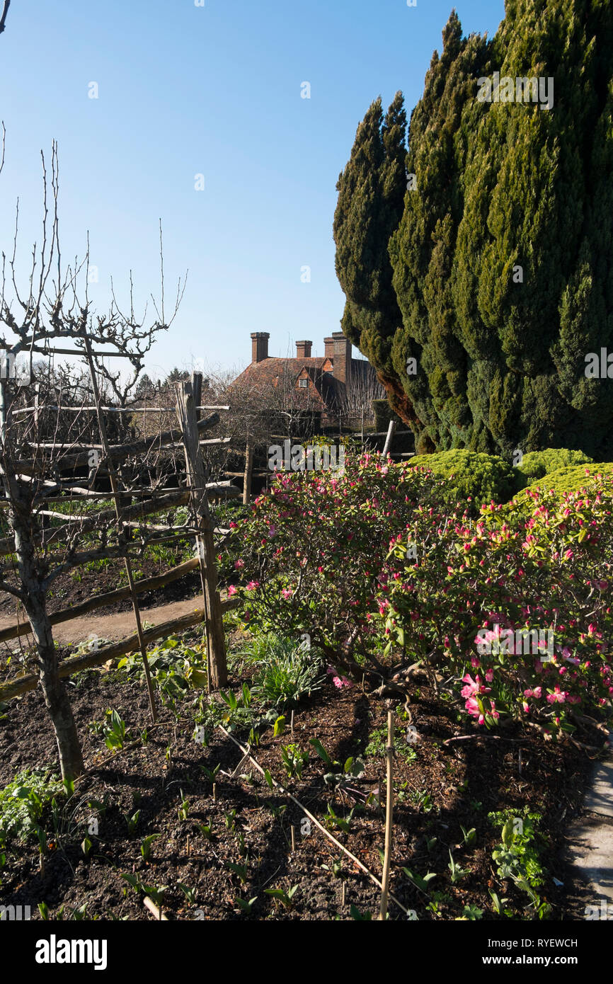 Espalier fruit tree in the High Garden at Great Dixter in Northiam