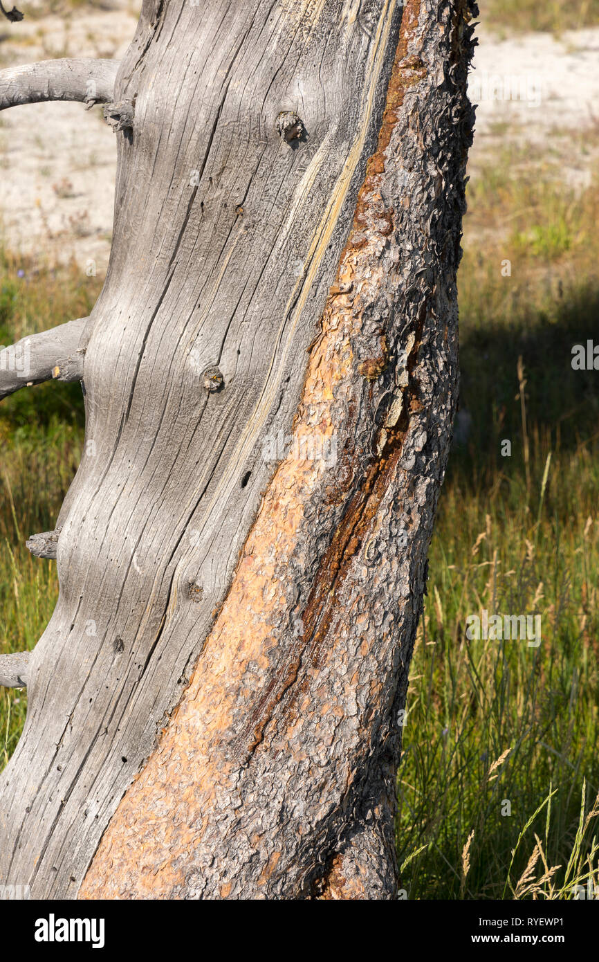 Rough and the smooth hi-res stock photography and images - Alamy