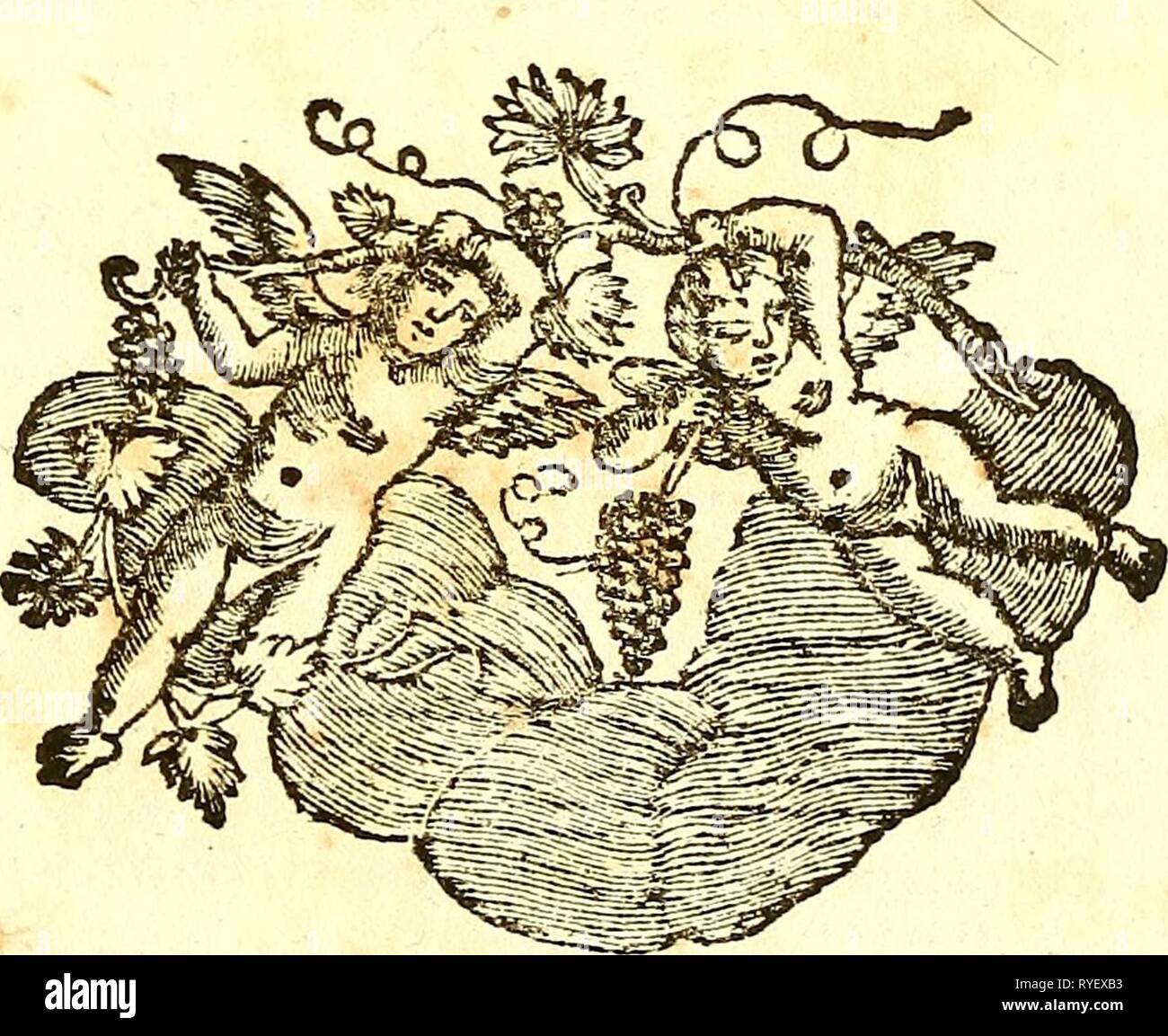 Elementa physiologiae corporis humani ..  elementaphysiolo07hall Year: 1776  ELEMENTA PHYSIOLOGI CORPORIS HUMANI ALBERTO V HALLER DOMINO IN GOUMOENS LE JUX ET FEUDI IN ECLAGNENS. PrSEfide Societatls Reg. Scient Goetting. Sodali Acad. Reg. Scient. Parif, Reg. Ghir. Gall. Imper. Berolin. Siiecic. Bononienf. Arcad. Bavar, Societ. Scient. Britann. Botan. Flor. Upfal. Helvet. Batavic. (Econom. Bernenf. In Senatii Supremo Bernenfi Ducentum-Viro &c. &c. &c. TOMUS SEPTIMUS, LIEN. PANCREAS. HEPAR. INTESTINA, EDITIO PRIMA NEAPOLITANA Ob expulfos enores, prapofitnm CL. MATANI Prafationem , noyum v4iSorum Stock Photo