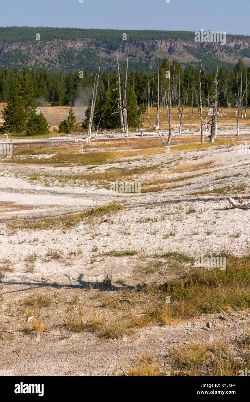 Geyser in Black Sand Basin in Yellowstone National Park in Wyoming ...
