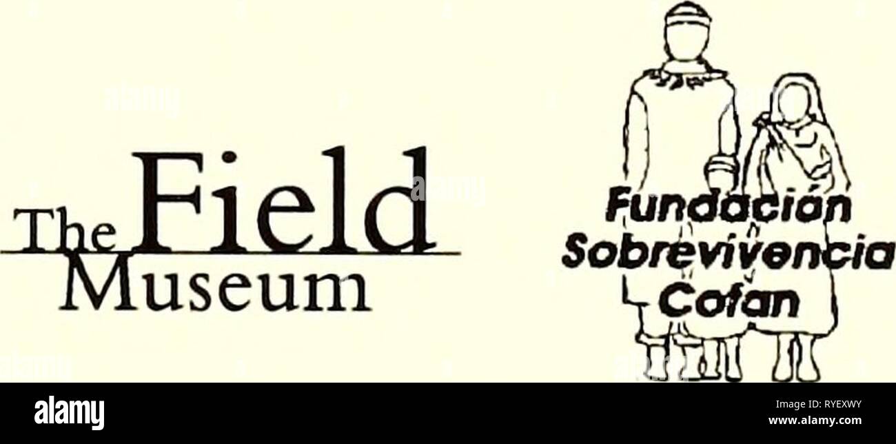Ecuador : Serranías Cofán-Bermejo, Sinangoe  ecuadorserranasc32002pitm Year: 2002  r^niH biological: ro I GJkJ inventories WO Ecuador: Serranías Cofán- Bermejo, Sinangoe Nigel Pitman, Debra K. Moskovits, William S. Alverson, y/and Randall Borman A., editores/editors ENERO/JANUARY 2002 Instituciones Participantes/ Participating Institutions: The Field Museum Fundación para la Sobrevivencia del Pueblo Cofán/Cofán Survival Fund Federación Indígena de la Nacionalidad Cofán del Ecuador (FEINCE) Stock Photo