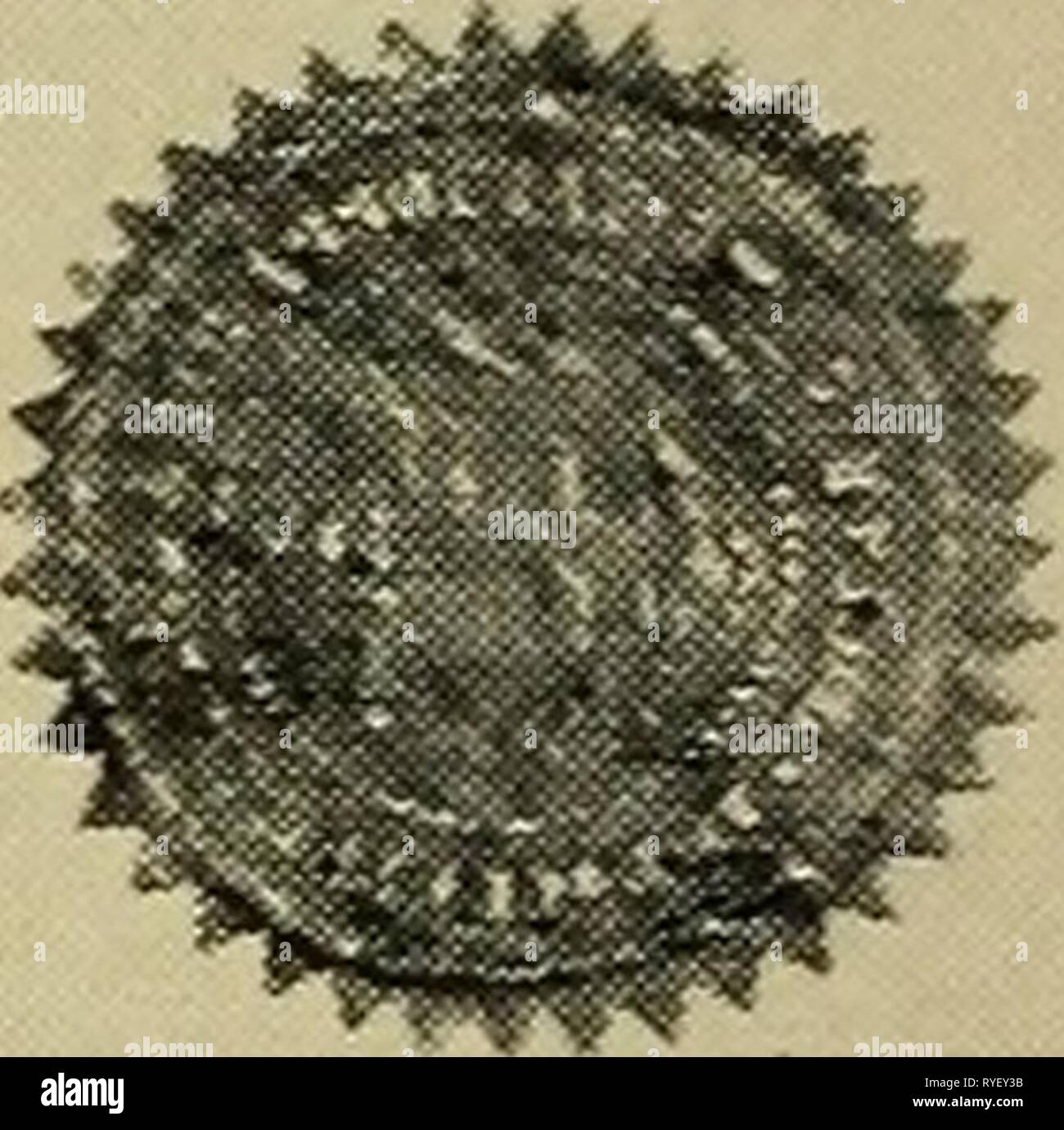 Dr Le Gear S Stock Book Comprising A Description Of The General Care Feeding And Watering Stabling And Breeding And All The Diseases And Their Treatment Of Stock In Texas And The