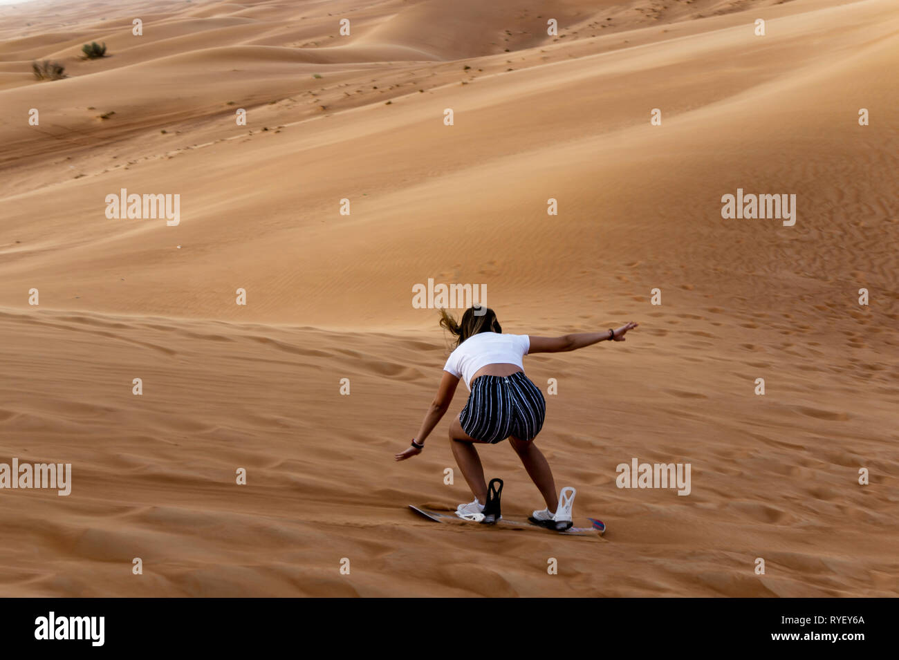 Young girl sandboarding in the desert - extreme desert activity in Dubai Stock Photo