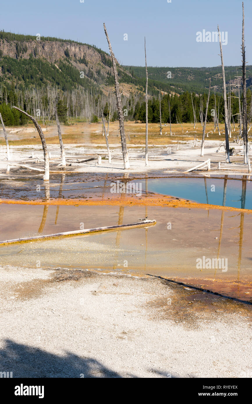Geyser in Black Sand Basin in Yellowstone National Park in Wyoming ...