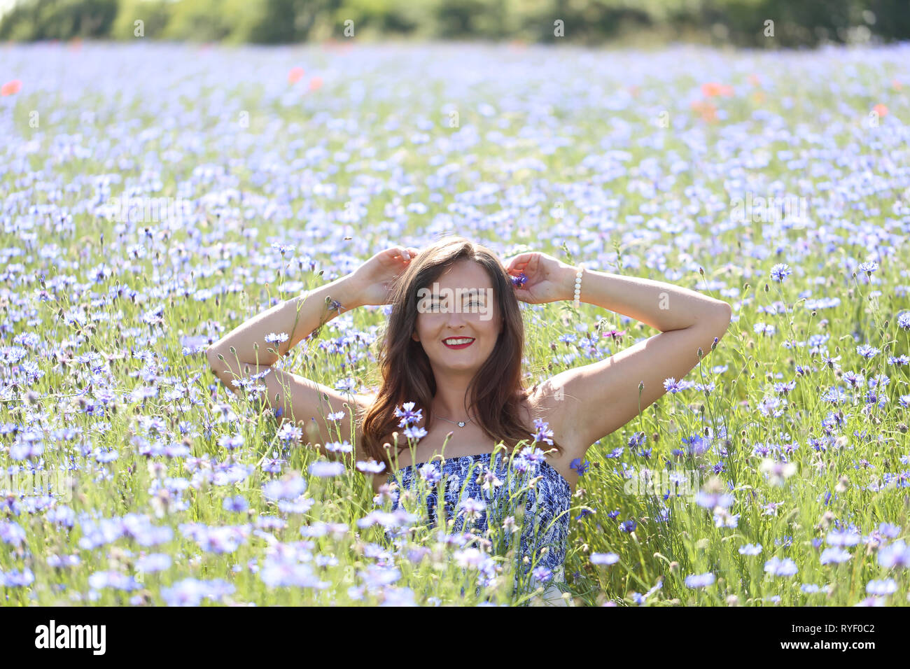 Portrait of a young girl on cornflower blue field Stock Photo Alamy