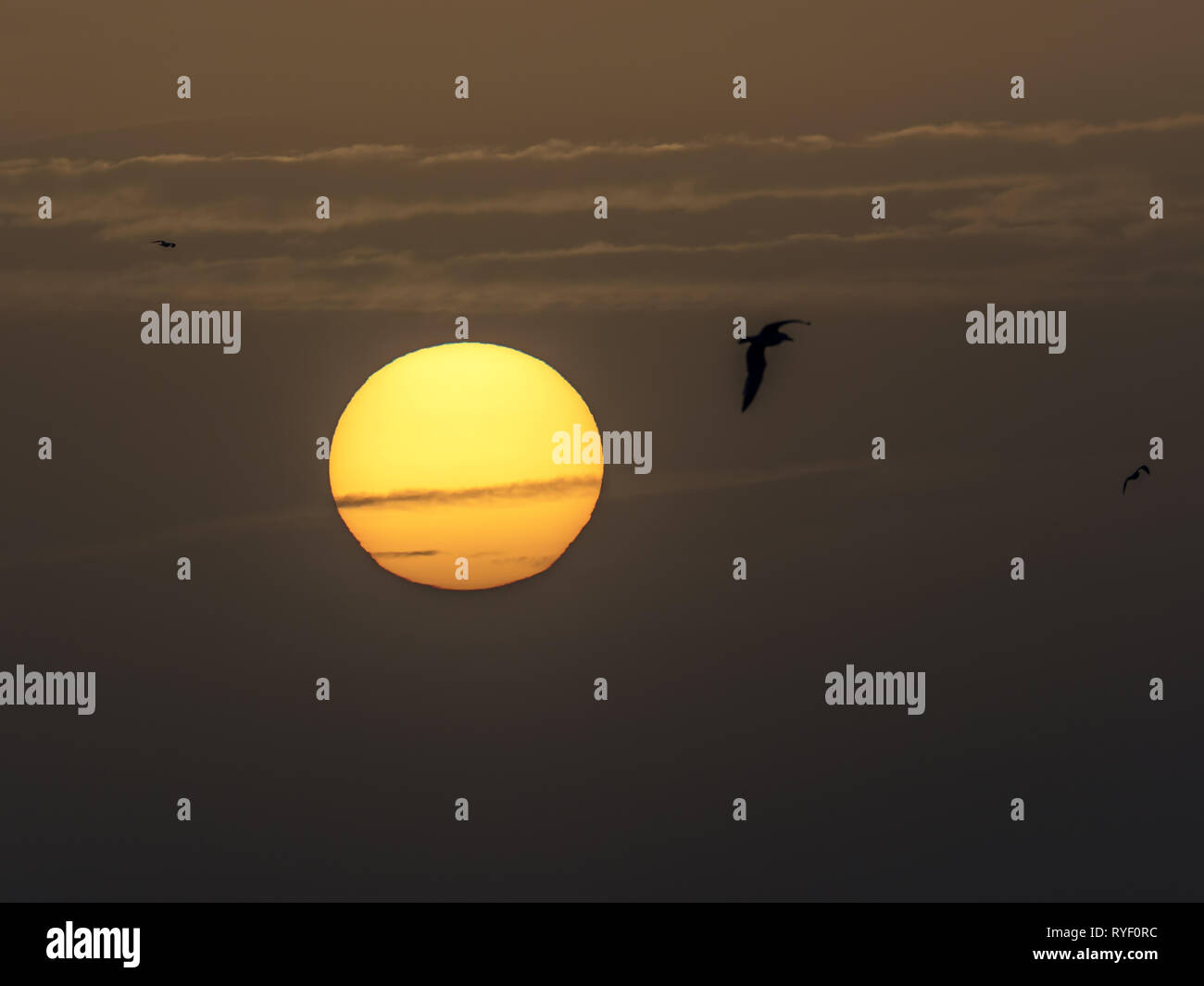 Winter solstice hires stock photography and images Alamy