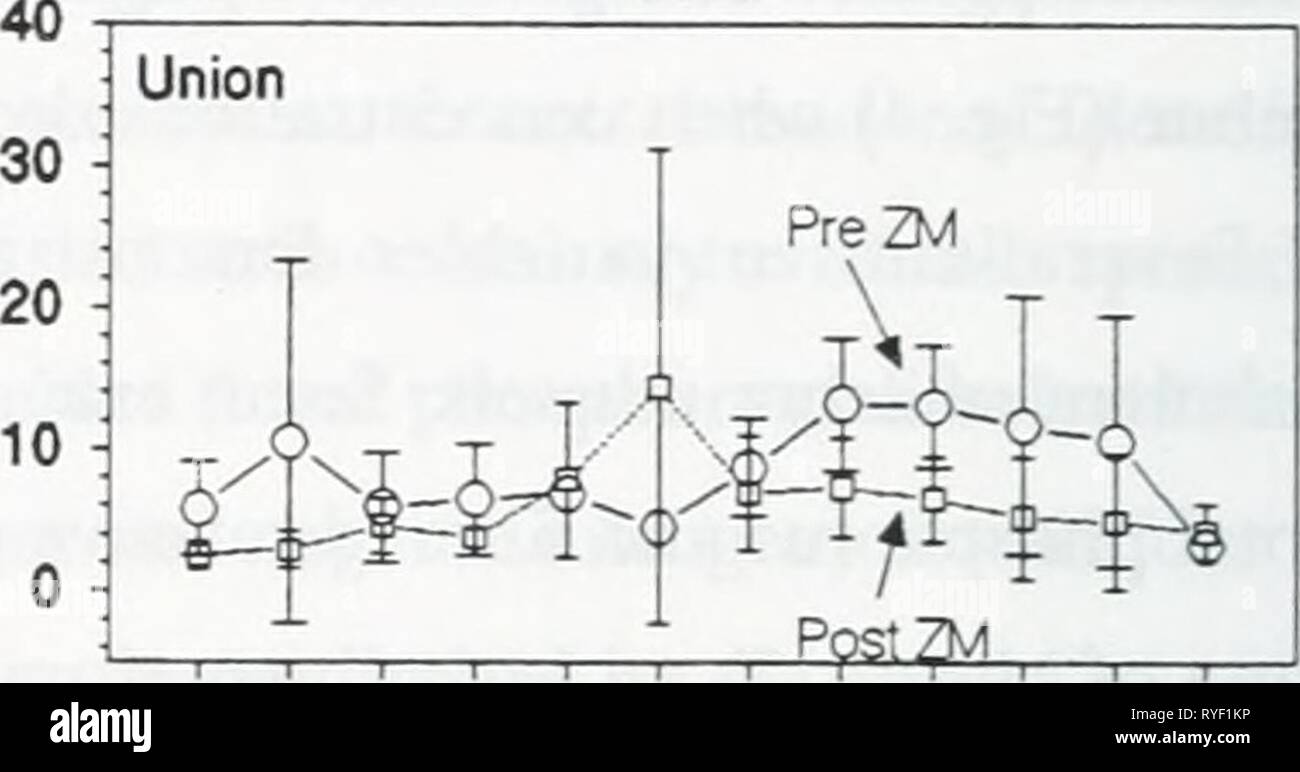 Zebra Mussels Lake Erie High Resolution Stock Photography and Images