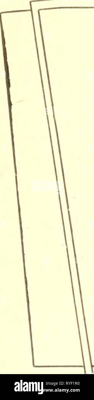 An economic study of farm layout .. . Fig. 100. a farm plan with