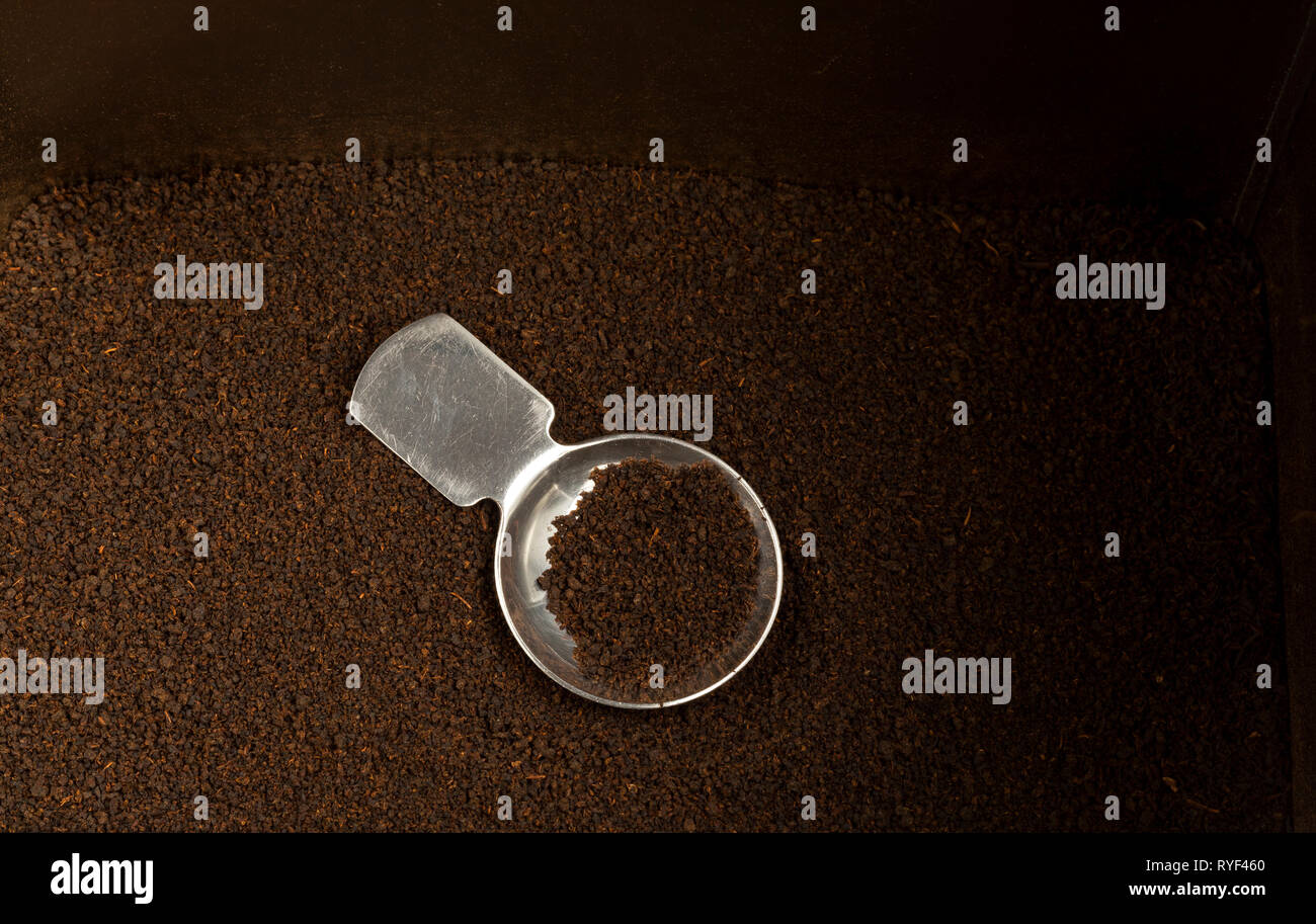 Tea caddy spoon measuring loose leaf tea in a tea caddy Stock Photo Alamy