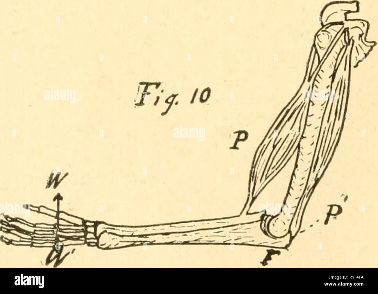 Twenty thousand pounds hires stock photography and images Alamy