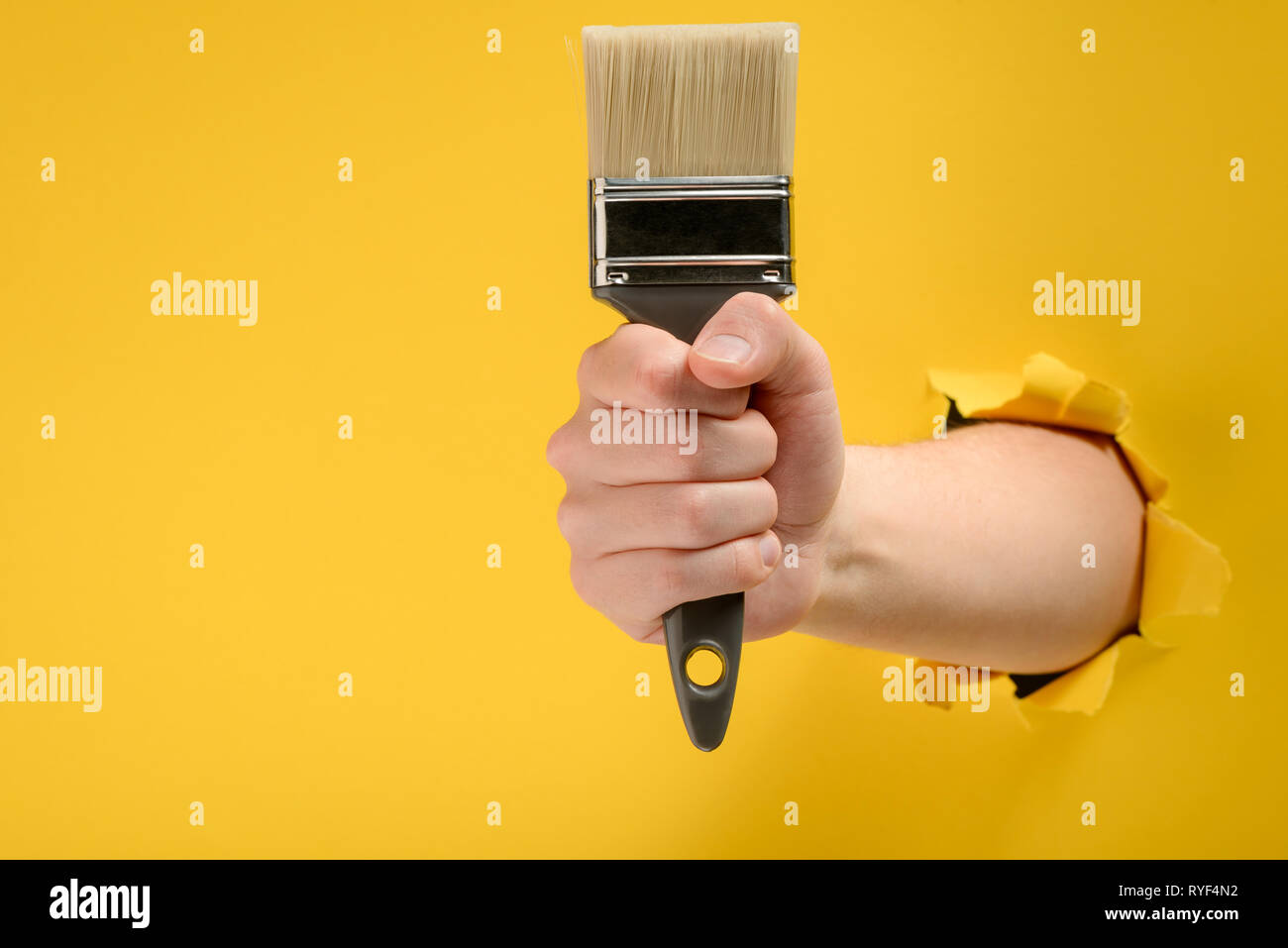 Hand holding a paint brush Stock Photo Alamy